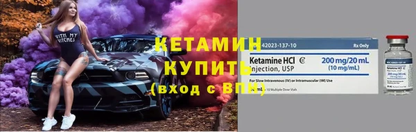 трава Сясьстрой