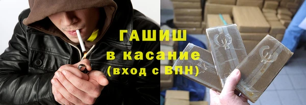 трава Сясьстрой