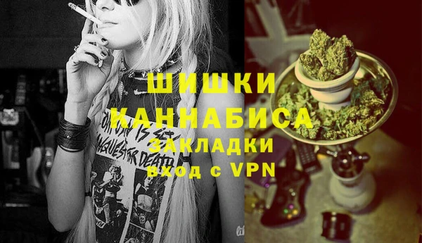 трава Сясьстрой