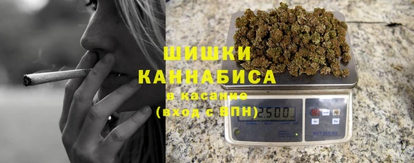 трава Сясьстрой