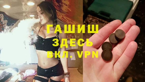 трава Сясьстрой