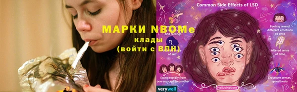 трава Сясьстрой